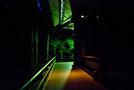5 Japanese nights