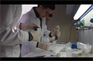 Corporate Video"Get to know DNA"